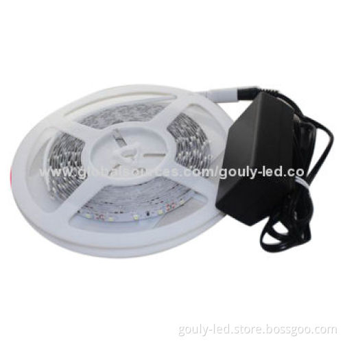 LED Rope Light with 60 Pieces of 3528 SMD LEDs/Meter, 36W/12V Power Supply